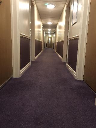 Purple Roomz fotoÄŸrafÄ±