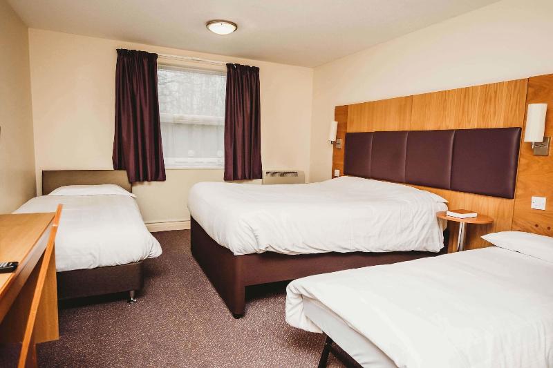 Purple Roomz - Oda