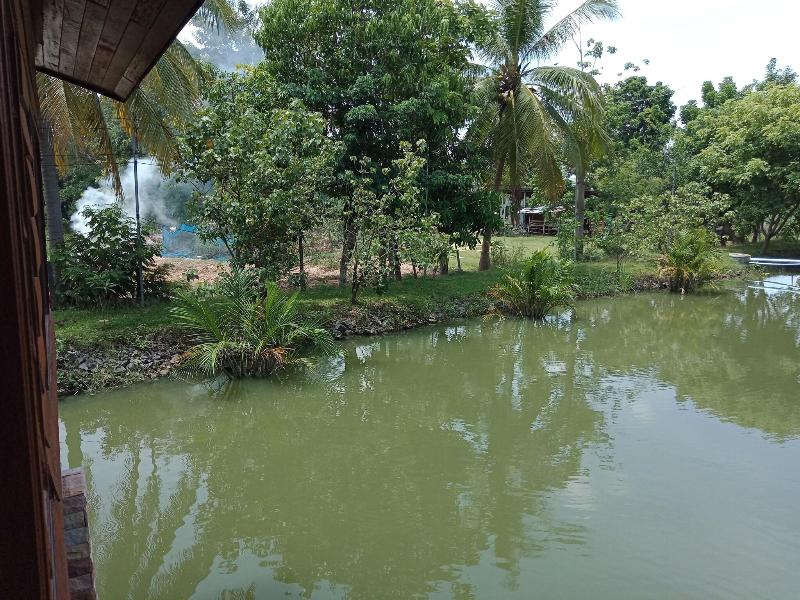 Home Style Resort - Genel