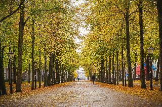 Voco The Hague fotoÄŸrafÄ±