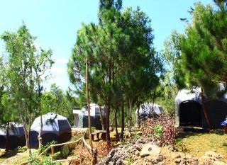 Bukit Lintang Sewu Domping by ZUZU otel fotoğrafı