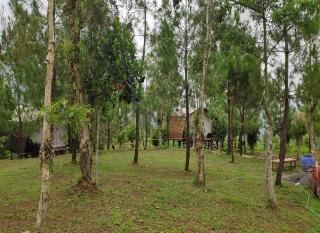 Bukit Lintang Sewu Domping by ZUZU fotoÄŸrafÄ±
