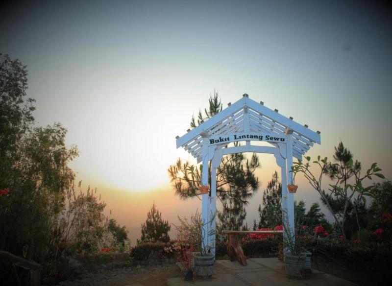 Bukit Lintang Sewu Domping by ZUZU - Genel