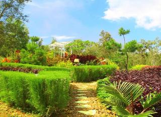 Bukit Lintang Sewu Domping by ZUZU fotoÄŸrafÄ±