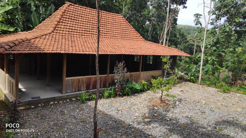 Homestay Rahayu by ZUZU - Genel