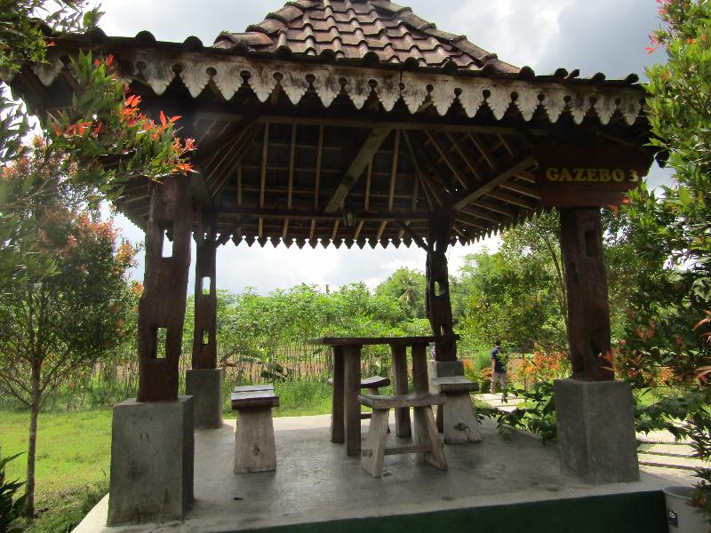 Balkondes Bumiharjo Kampung Dolanan - Genel