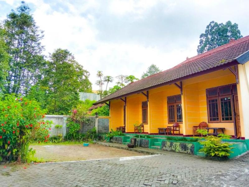 Nguntara Gati - Genel