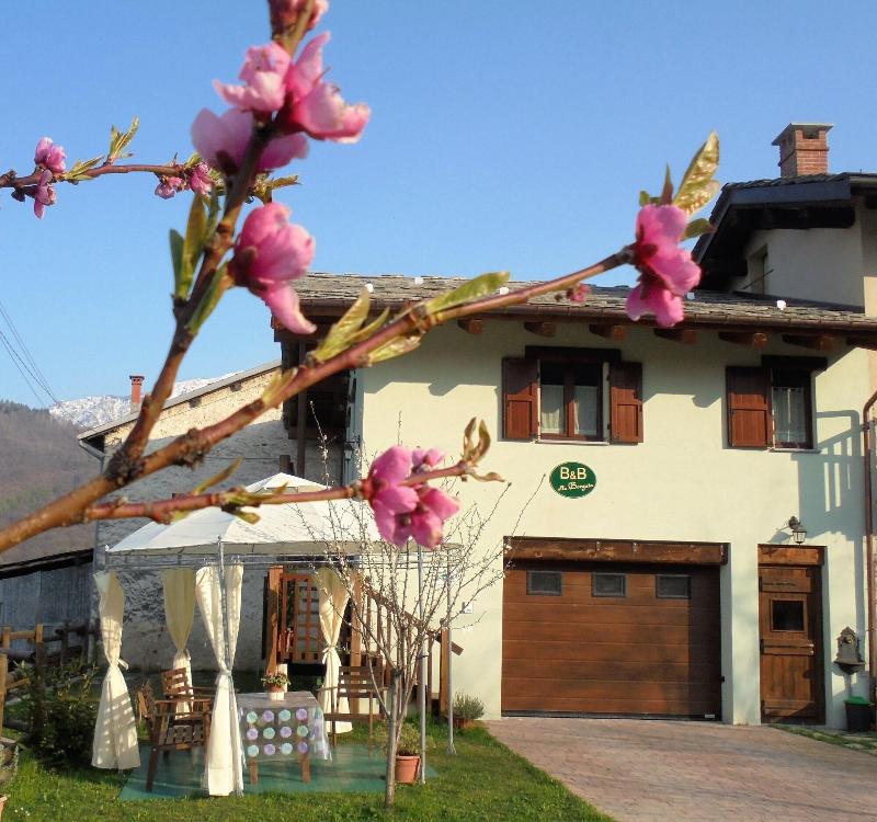B&B Alla Borgata - Genel