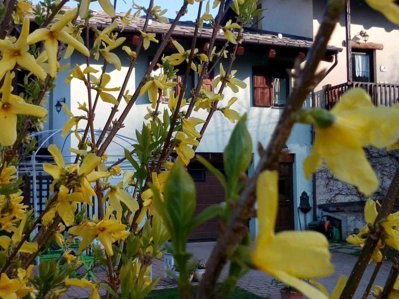 B&B Alla Borgata - Genel