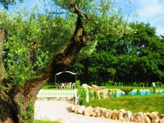 La Selva Incantata b&b fotoÄŸrafÄ±
