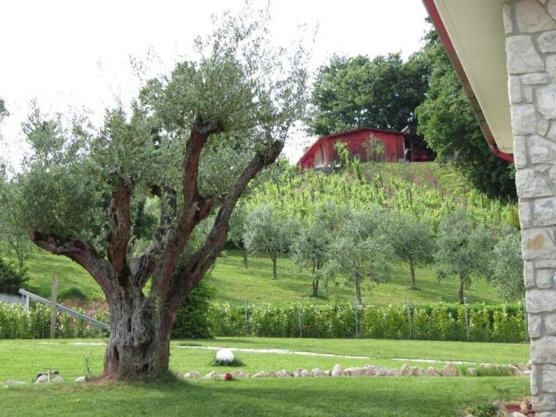 La Selva Incantata b&b - Genel