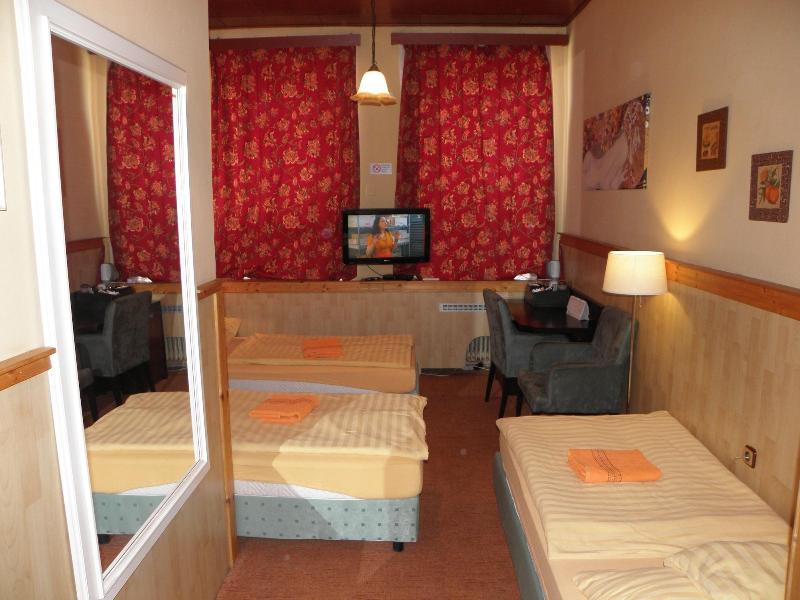 Hotel U Branky - Oda
