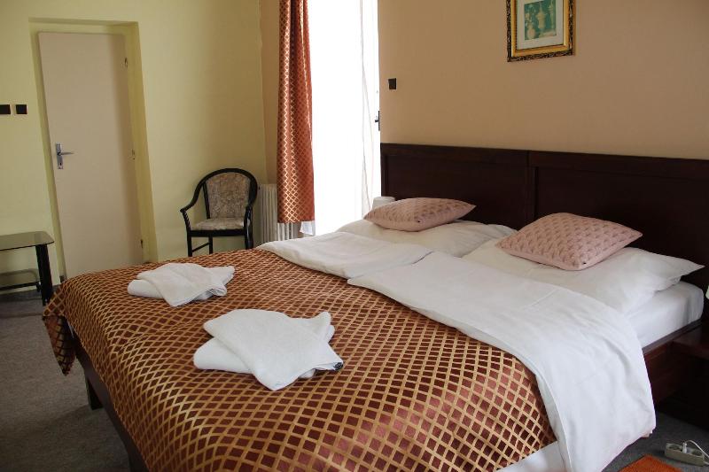 Hotel Roosevelt - Oda