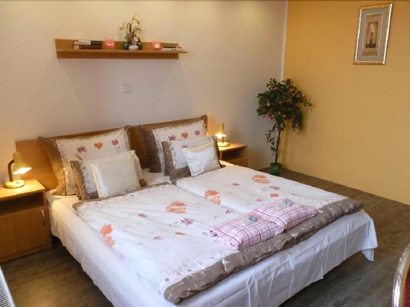 Hotel Gól Prostějov - Genel