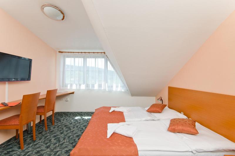 Hotel Slavia - Oda