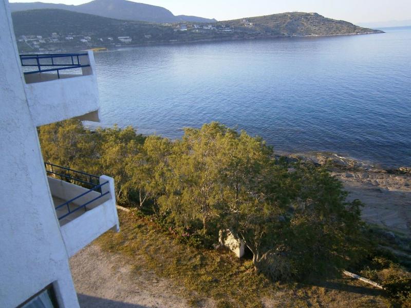Daskalio Beach Hotel - Genel
