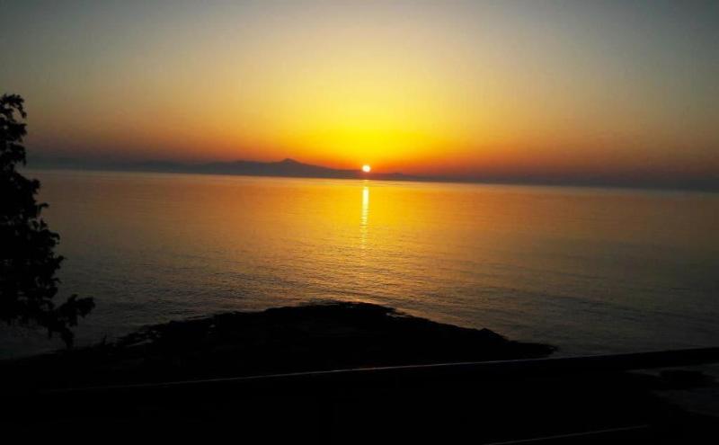 Daskalio Beach Hotel - Genel