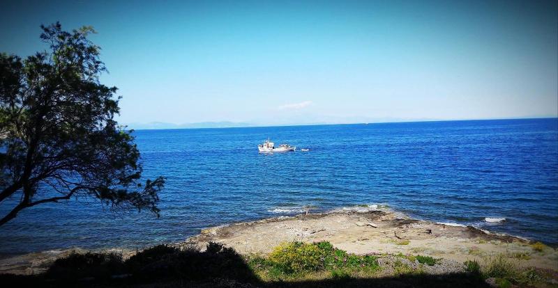 Daskalio Beach Hotel - Plaj