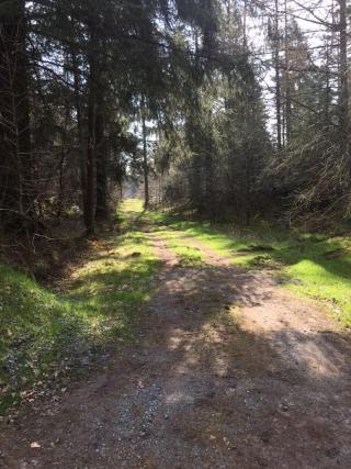 Reiterhof Wollesen fotoÄŸrafÄ±