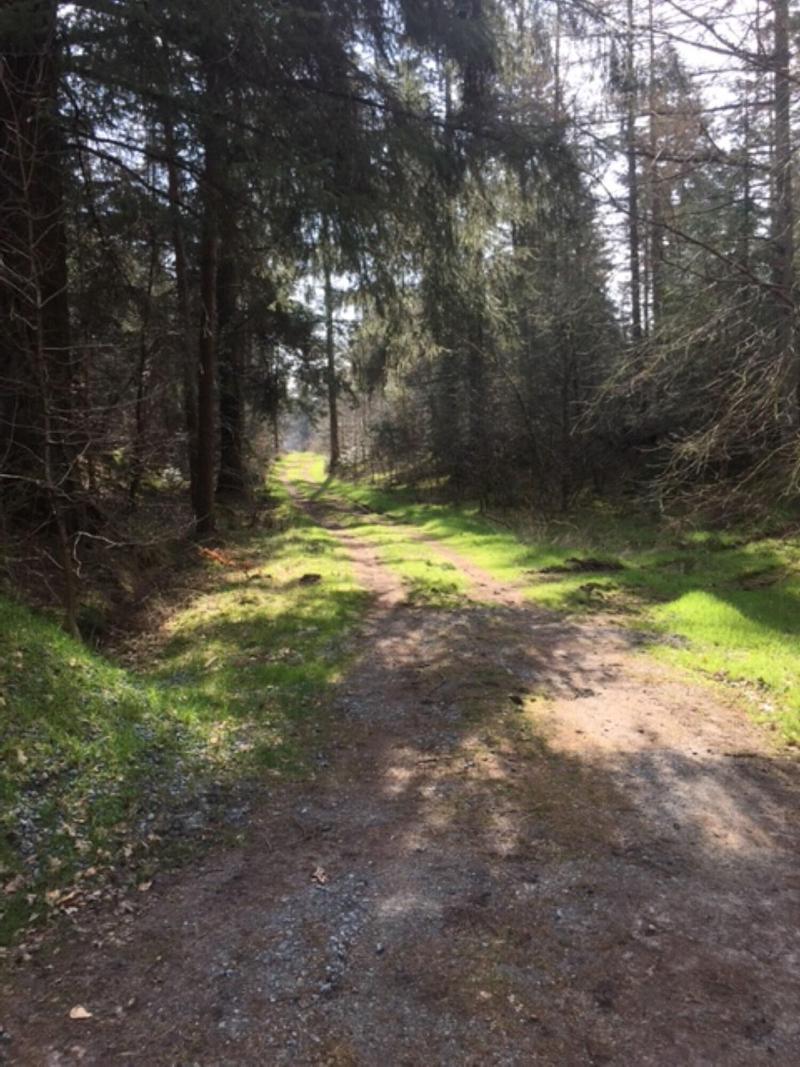 Reiterhof Wollesen - Aktivite