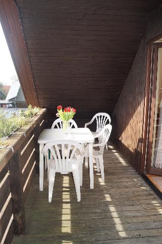 Reiterhof Wollesen fotoÄŸrafÄ±