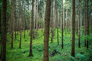 Naturhotel Wittelsbach fotoÄŸrafÄ±