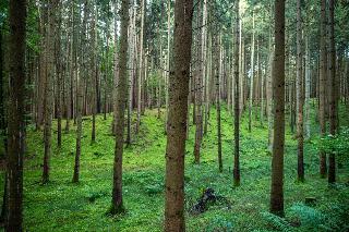 Naturhotel Wittelsbach fotoÄŸrafÄ±