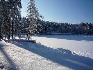 Hotel Waldsee fotoÄŸrafÄ±