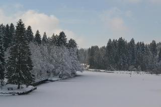 Hotel Waldsee fotoÄŸrafÄ±