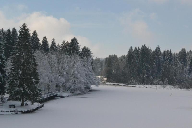 Hotel Waldsee - Aktivite