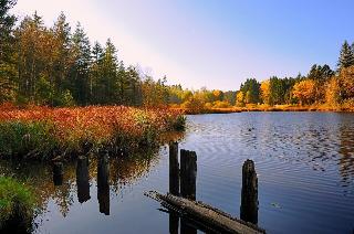 Hotel Waldsee fotoÄŸrafÄ±