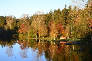 Hotel Waldsee fotoÄŸrafÄ±