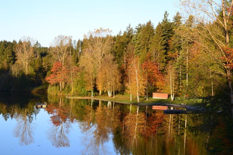 Hotel Waldsee - Genel