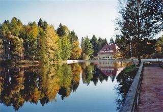 Hotel Waldsee fotoÄŸrafÄ±