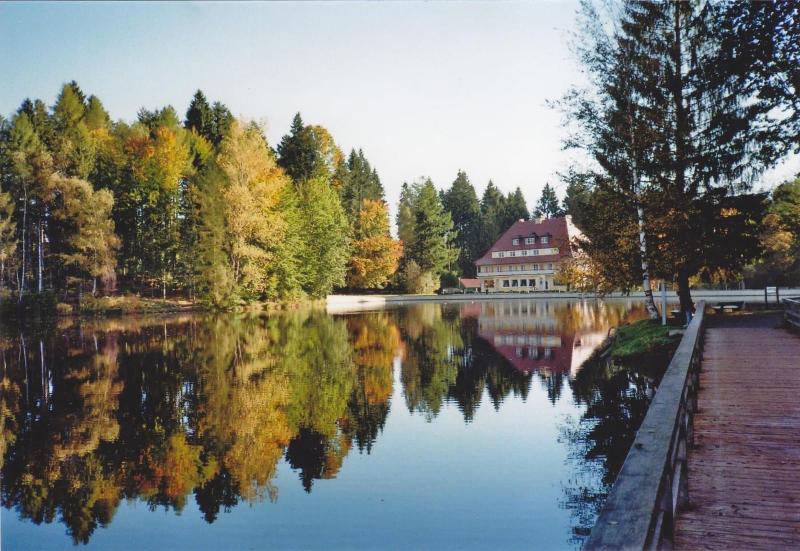Hotel Waldsee - Genel