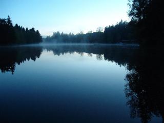 Hotel Waldsee fotoÄŸrafÄ±