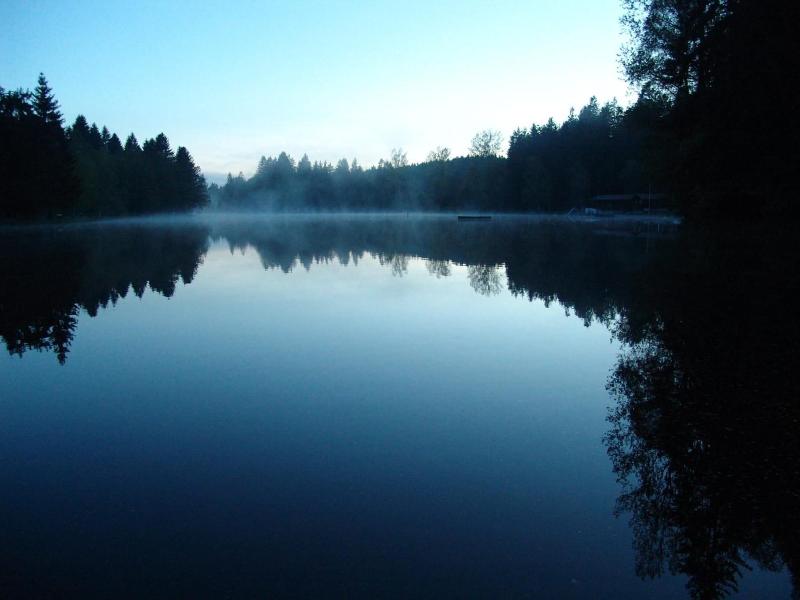 Hotel Waldsee - Genel
