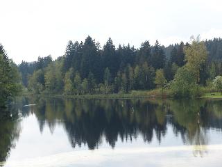 Hotel Waldsee fotoÄŸrafÄ±