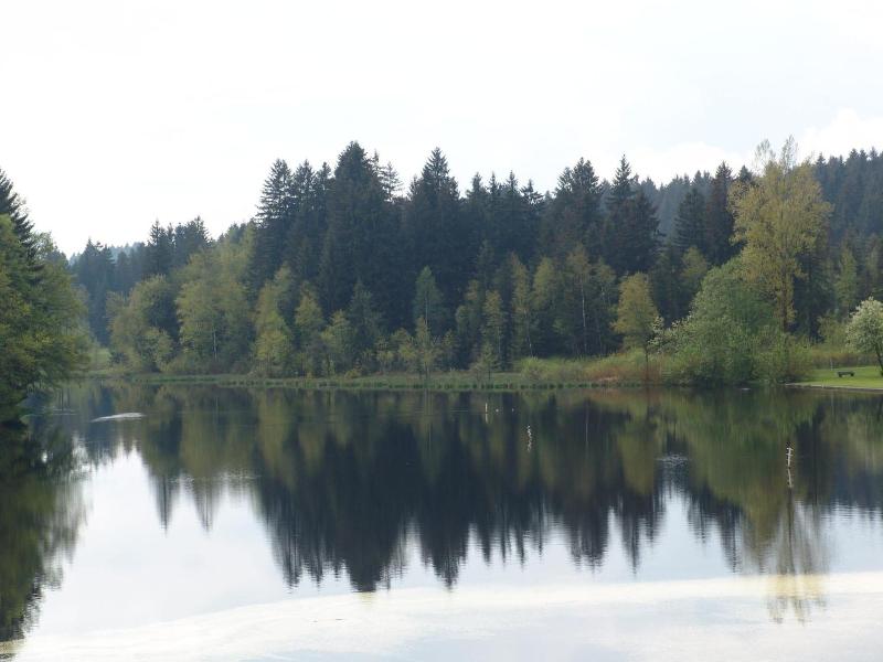 Hotel Waldsee - Genel