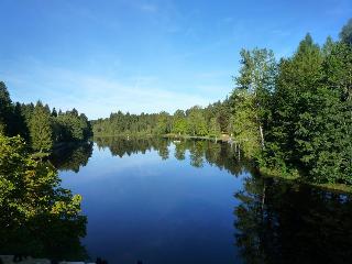 Hotel Waldsee fotoÄŸrafÄ±