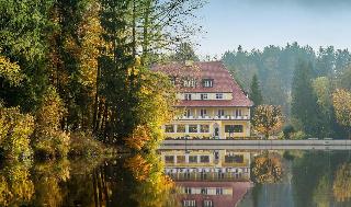 Hotel Waldsee fotoÄŸrafÄ±