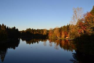 Hotel Waldsee fotoÄŸrafÄ±