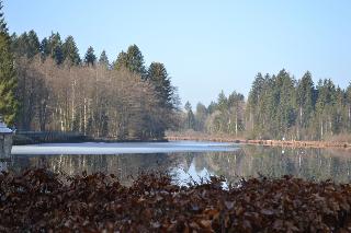 Hotel Waldsee fotoÄŸrafÄ±