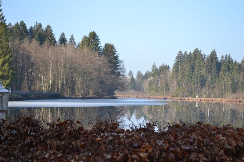 Hotel Waldsee - Genel