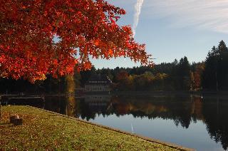 Hotel Waldsee fotoÄŸrafÄ±