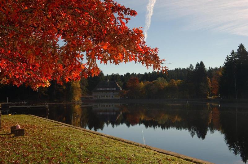 Hotel Waldsee - Genel