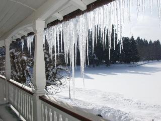 Hotel Waldsee fotoÄŸrafÄ±