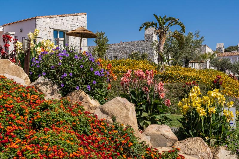 Cala Sinzias Resort - Genel