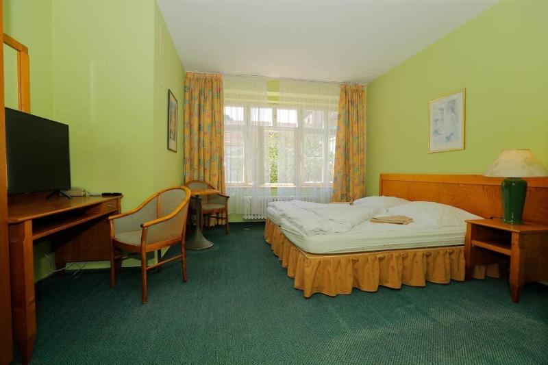 Hotel Magnolia Roudnice - Oda