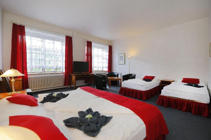 Hotel Magnolia Roudnice - Oda